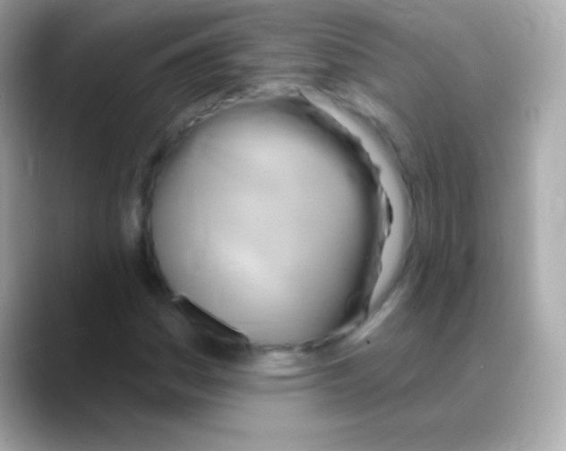 X0000088471161200706051337