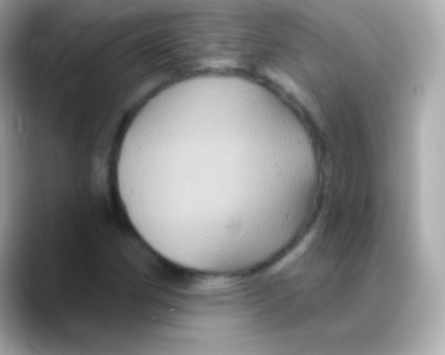 X0000088471162200706051337