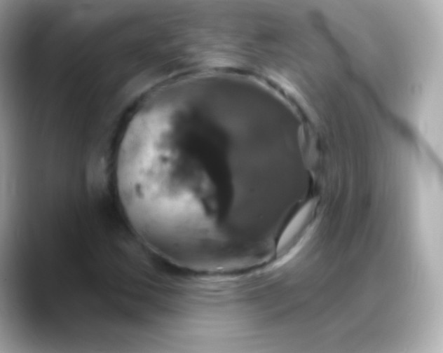 X0000088471163200706051337