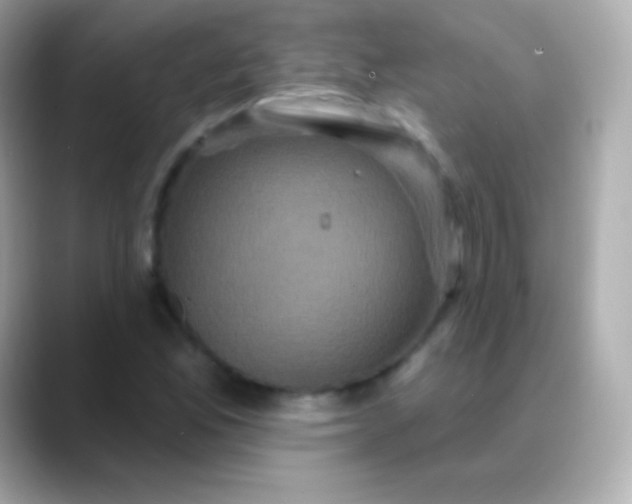 X0000088471165200706051337