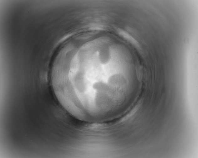 X0000088471166200706051337