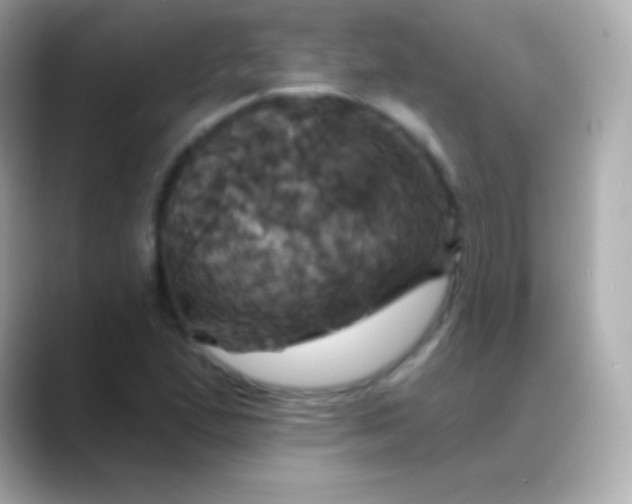 X0000088471167200706051337