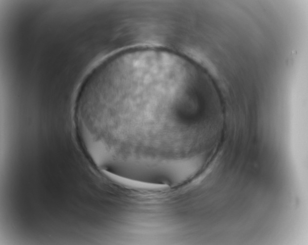 X0000088471168200706051337