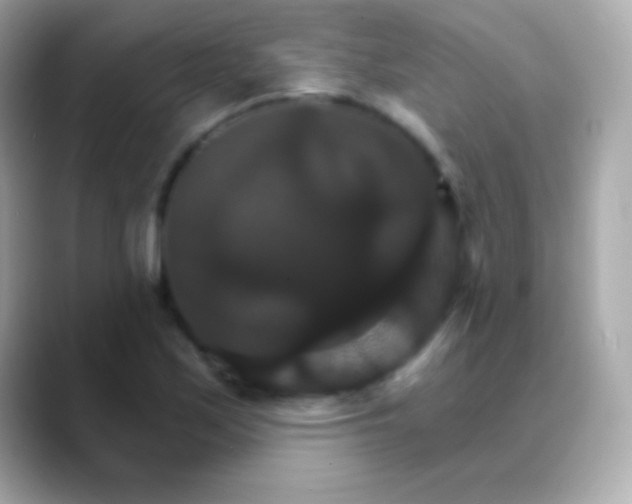 X0000088471171200706051337