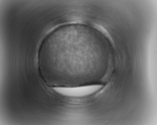 X0000088471172200706051337