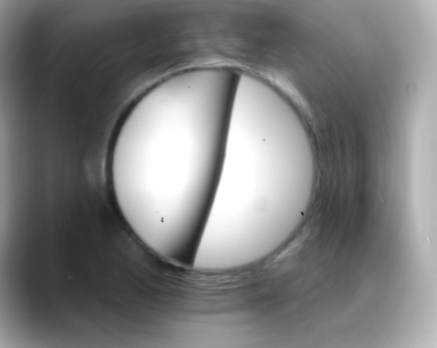 X0000088471173200706051337