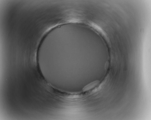 X0000088471174200706051337