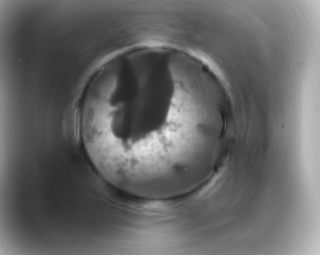 X0000088471175200706051337