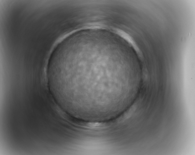 X0000088471176200706051337