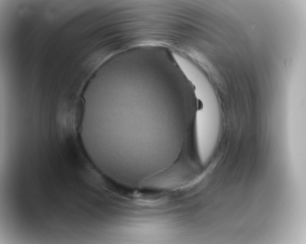 X0000088471177200706051337