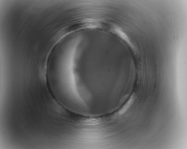 X0000088471178200706051337