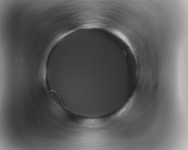 X0000088471179200706051337