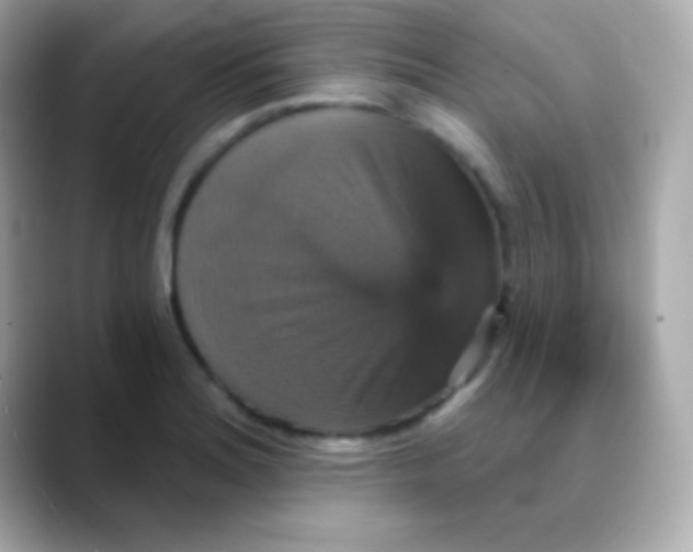 X0000088471180200706051337