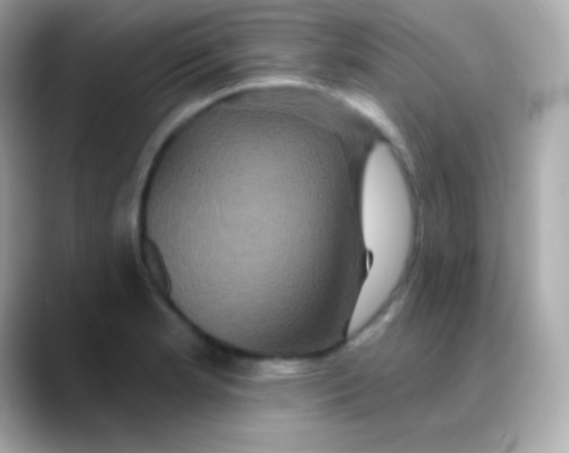 X0000088471181200706051337