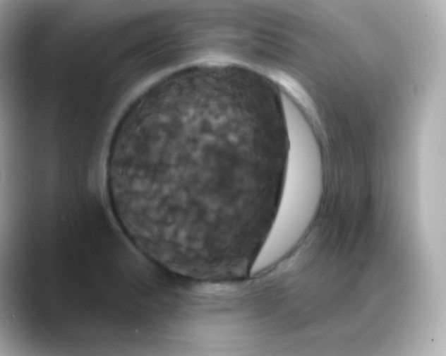 X0000088471183200706051337