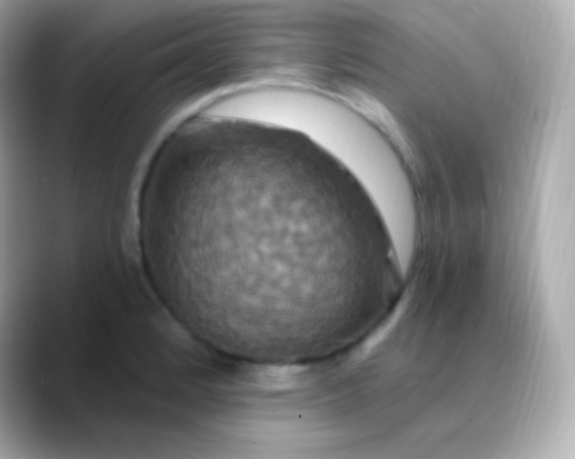 X0000088471184200706051337