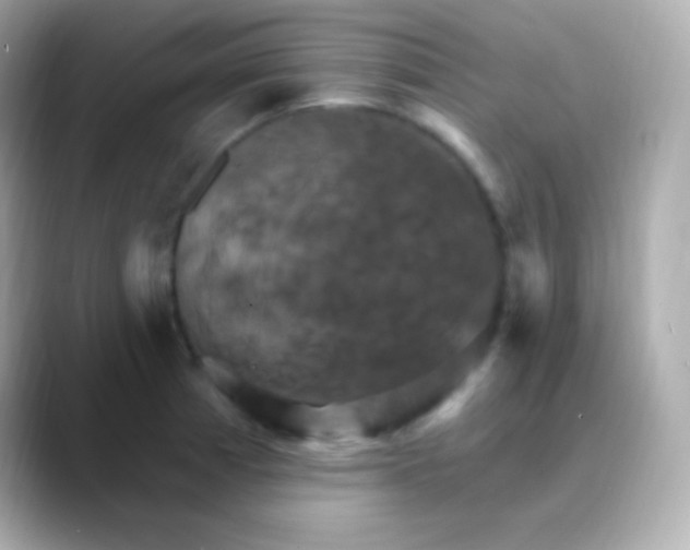 X0000088471185200706051337