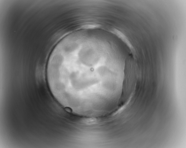 X0000088471186200706051337