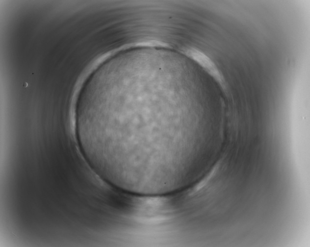 X0000088471188200706051337