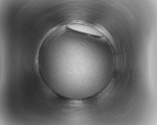 X0000088471190200706051337