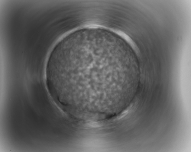 X0000088471191200706051336