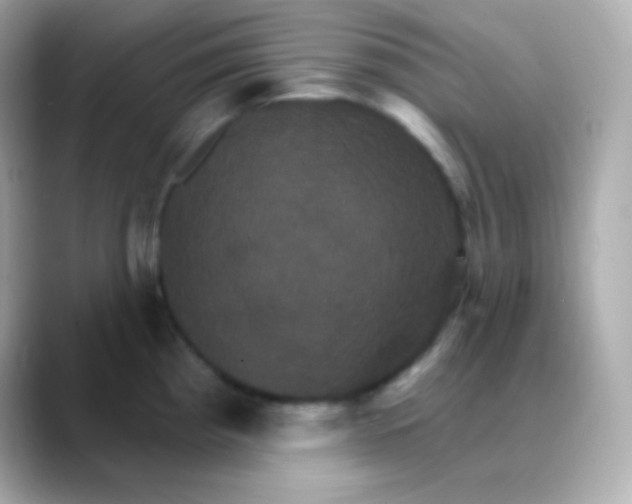 X0000088471193200706051336