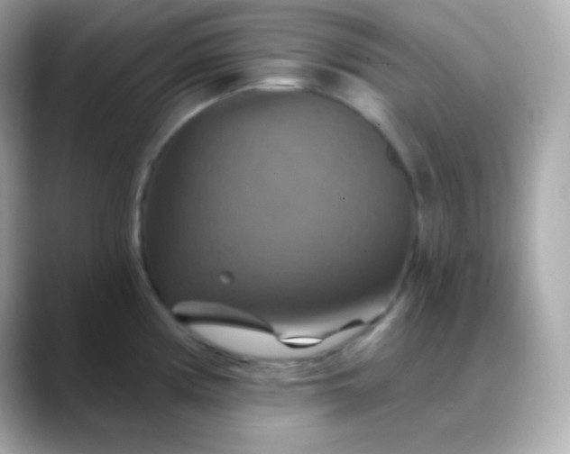 X0000088471194200706051336