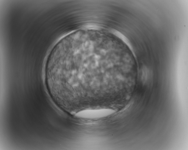 X0000088471195200706051336