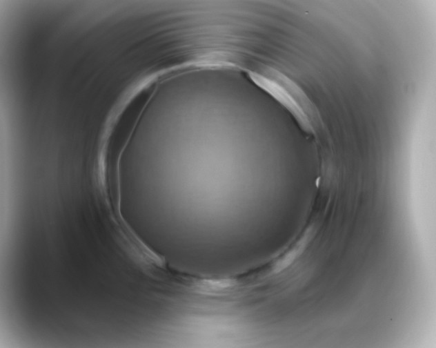 X0000088471196200706051336