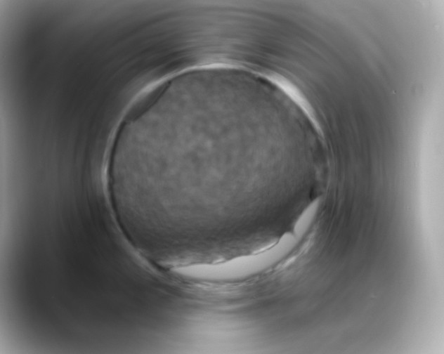 X0000088471197200706051336