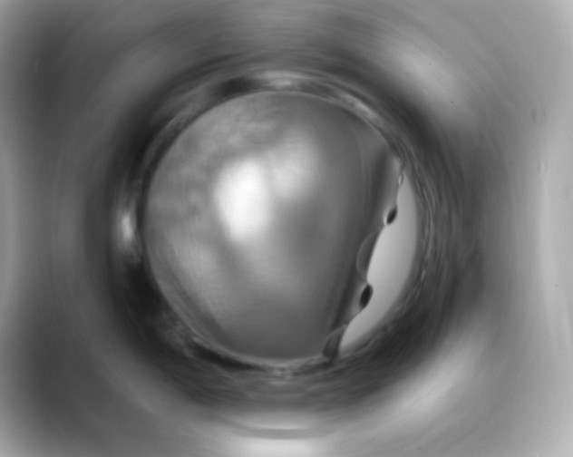 X0000088471198200706051336