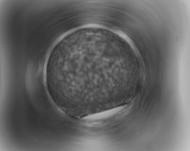 X0000088471199200706051336