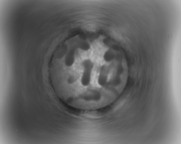 X0000088471201200706051336