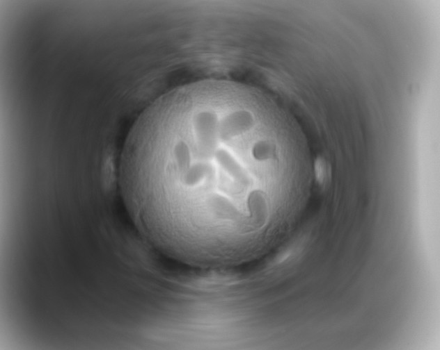 X0000088471203200706051336