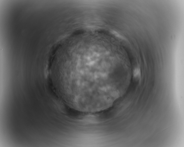 X0000088471204200706051336