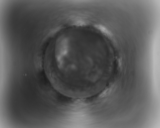 X0000088471205200706051336