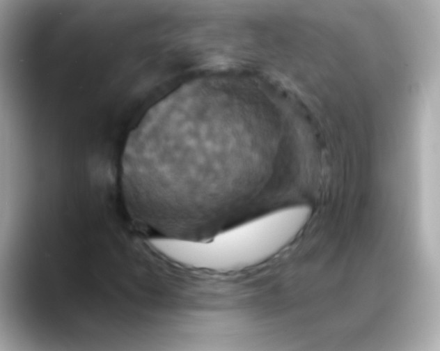 X0000088471206200706051336