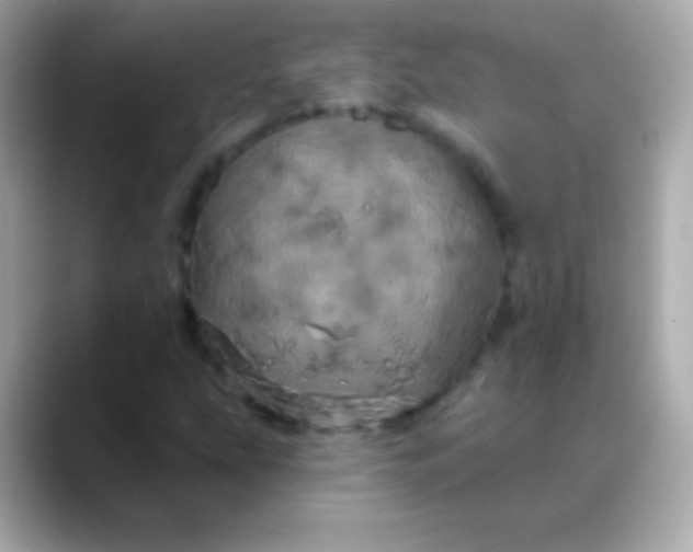 X0000088471207200706051336