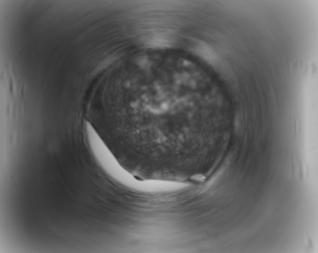 X0000088471209200706051336