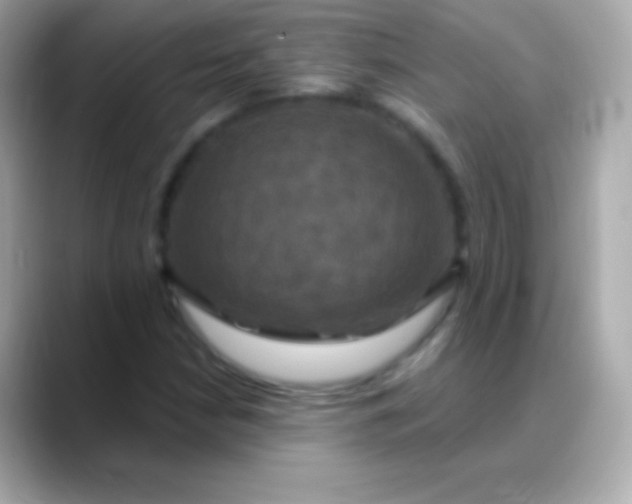 X0000088471210200706051336