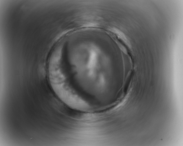 X0000088471212200706051336