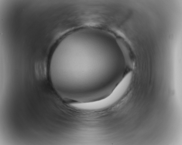 X0000088471214200706051336