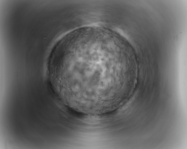 X0000088471215200706051336