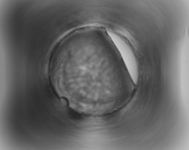 X0000088471216200706051336