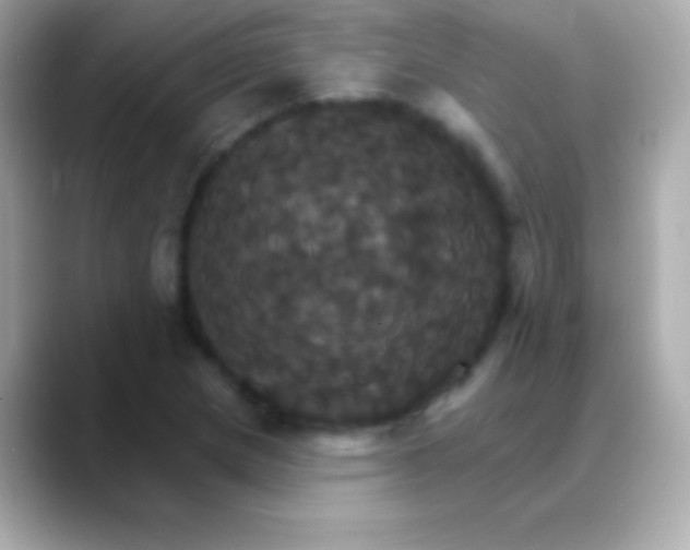 X0000088471217200706051336