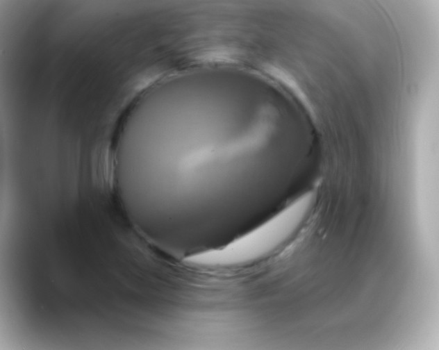 X0000088471219200706051336