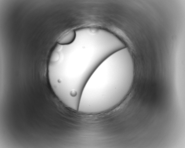 X0000088471220200706051336