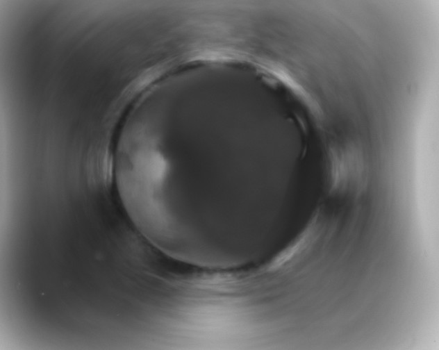 X0000088471221200706051336