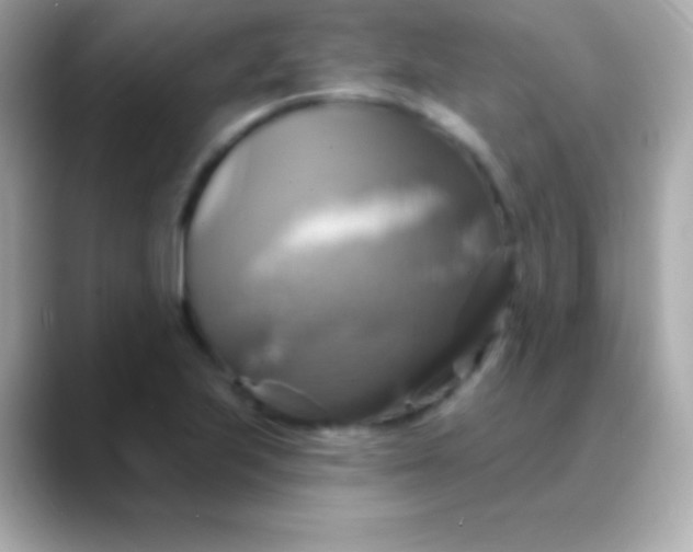 X0000088471223200706051336