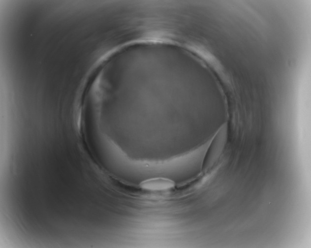 X0000088471224200706051336